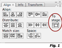 Flash tutorial image 1