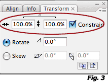 Flash tutorial image 3