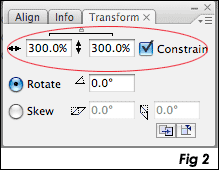 Flash tutorial image 2